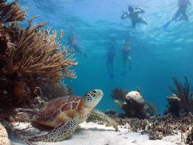 52775F212A907765B60C14B6DC786972