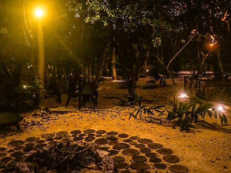 80C975D346EC5A26C08A3B3C9DAD8C01