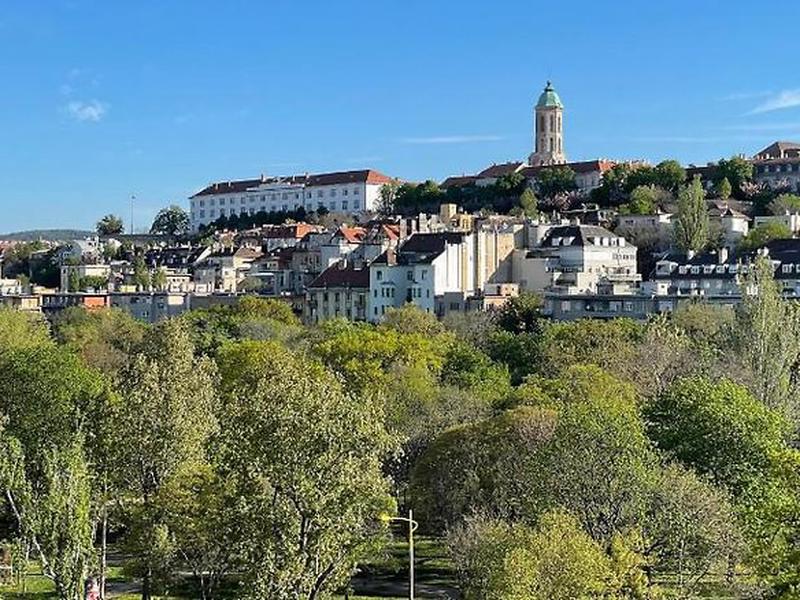 80A18B8ECECA2A54A5D6FADBBDA57FC5