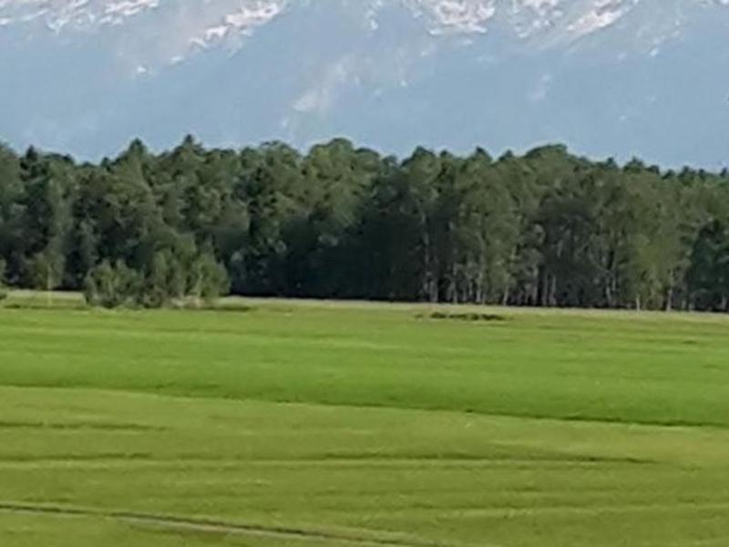 5572B86EB78D42483F1FBF4CF17BFA61