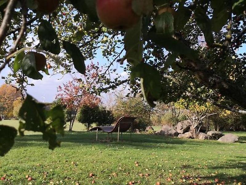 B514877E2FDD58F30A526F96AE416138