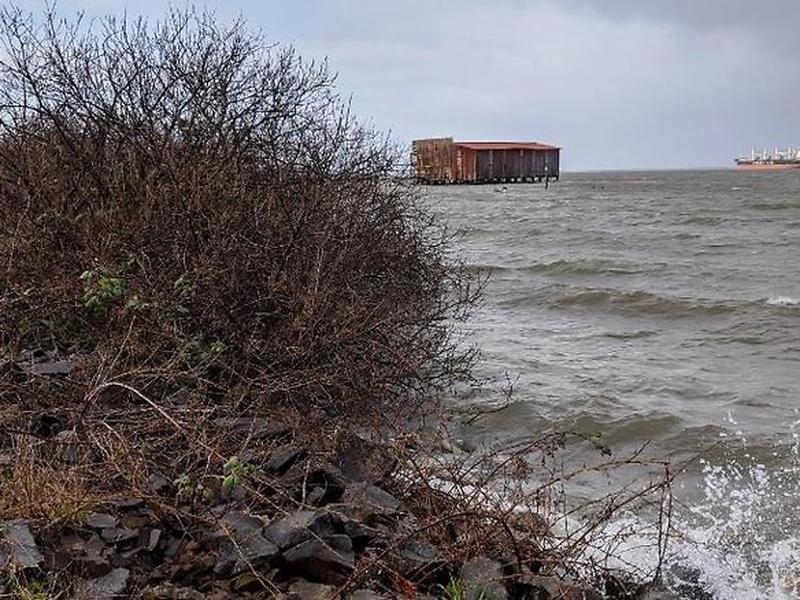 C3ADE487210304D490FA02850449B8F4