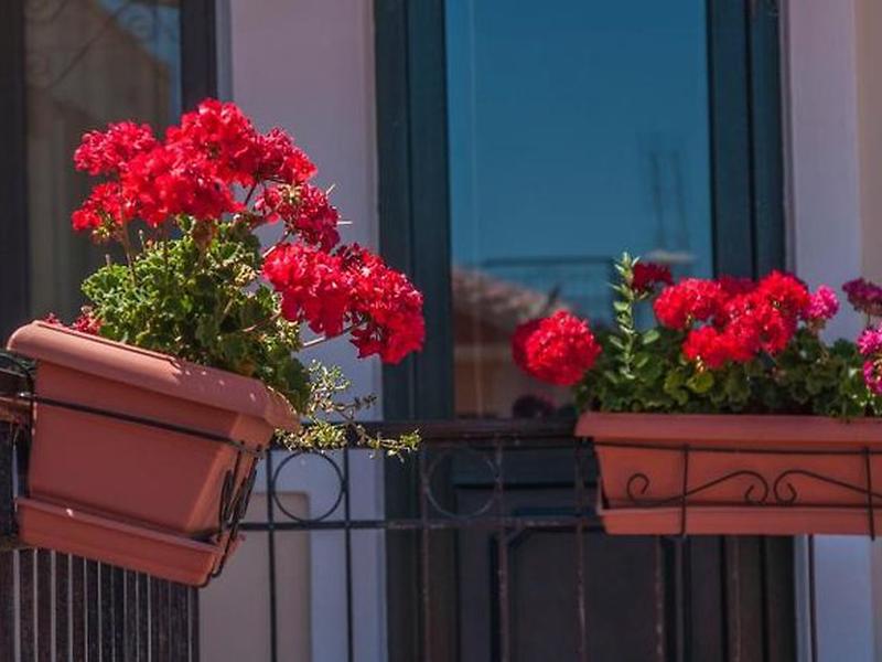 E3164BBF86021783DFE8219C0F714081