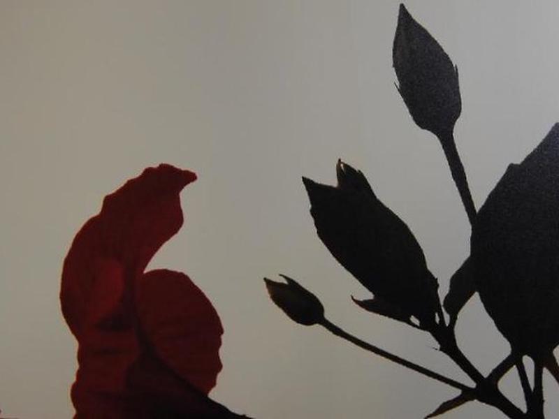 4135761503253BEF92A3DE6507933C40