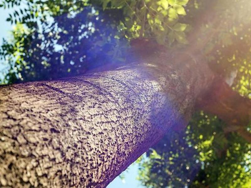 259E091A168040F0D3488BED9810E4B3