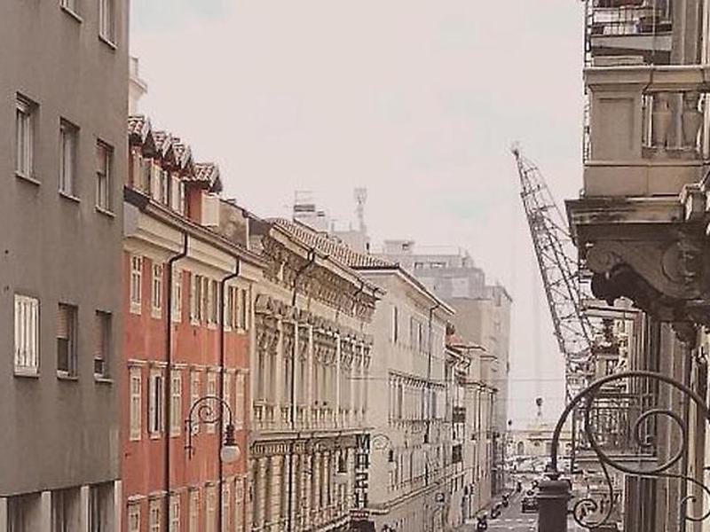 872C6D87A21F40742B42BA216F296135