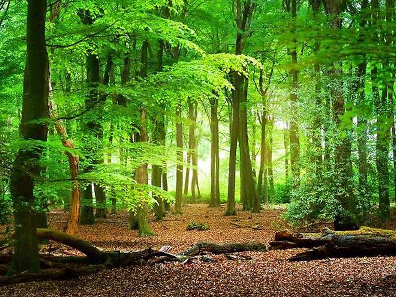 67BCCC271DB5C2139613869CABAA069C