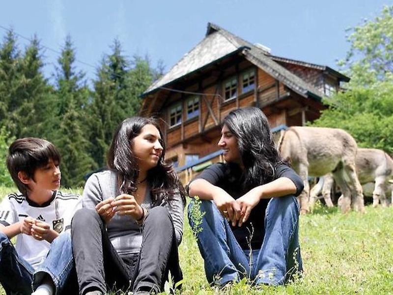 3443328084EA77E14E638D7DA0E24823