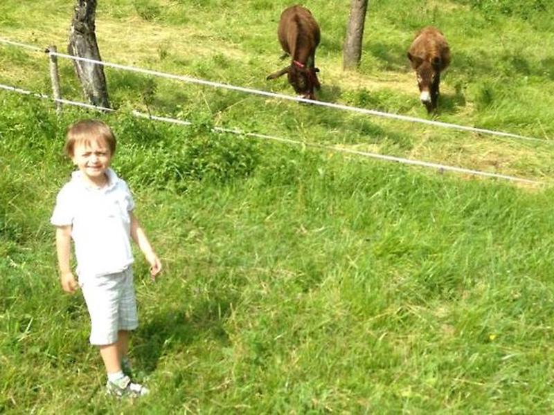 D7F8F31758ABEA0583DF1F80917B2B37