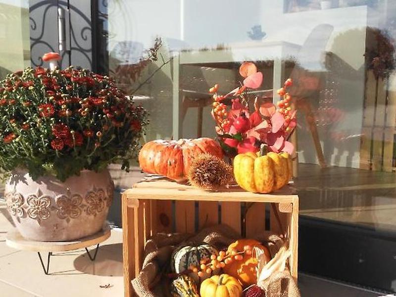 6337F6E3D95021D031D1DEDBDB3D31FD