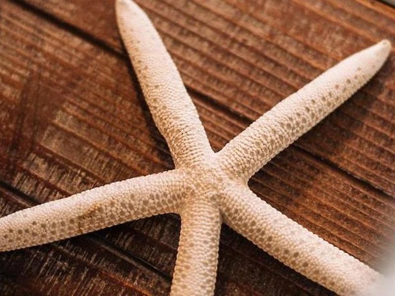 D82F308887805729FC147DBE26B7DA02