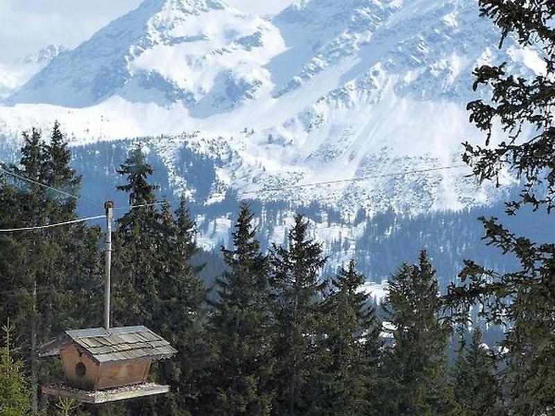 80E92C38C1E5F5E98B9C36153A0DCA62