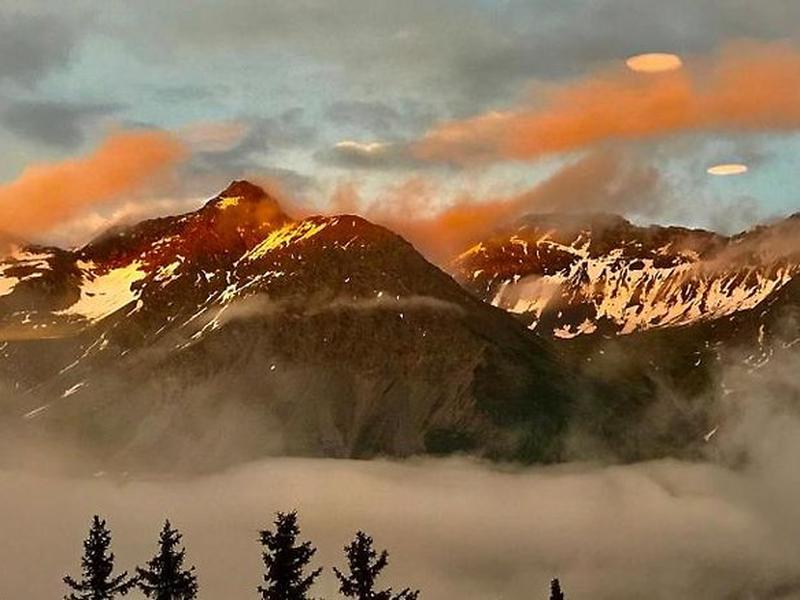 285F6FEE4E14AAE681BE4AE15B2146BD