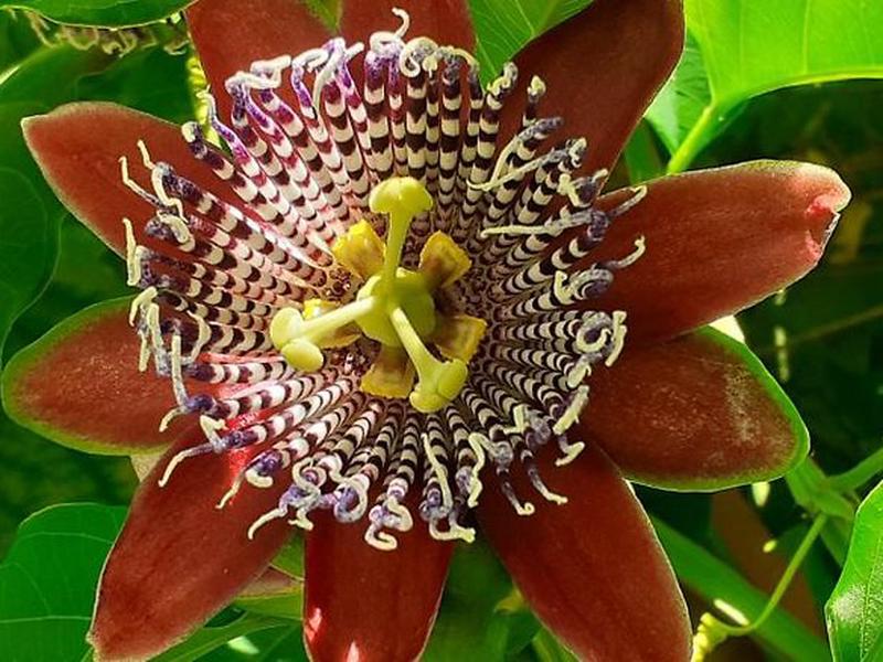 BB1F90A5165E73967BD0D9FDE2293F40