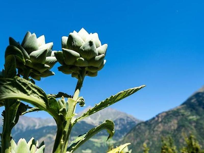 BBC2D20467A56A0C234BE0266C1AAC38