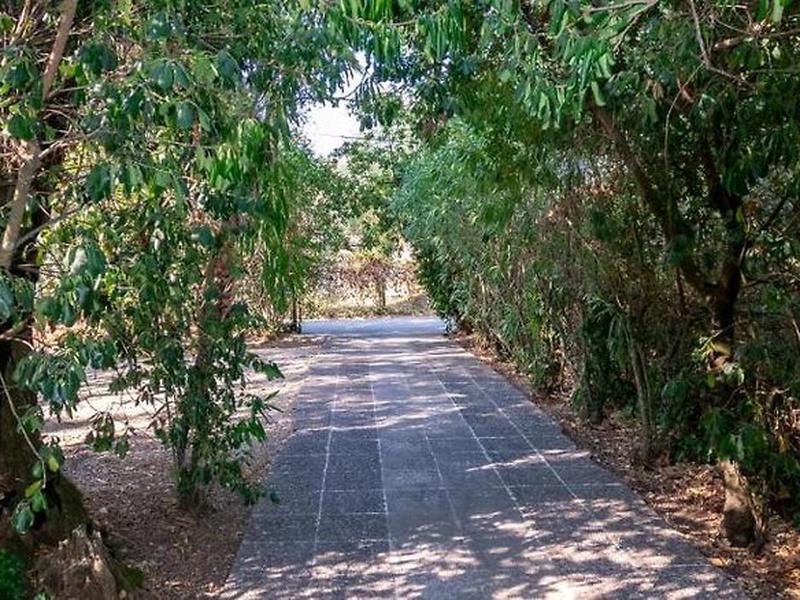 68DAB2F7277328B671C874C758BA6089