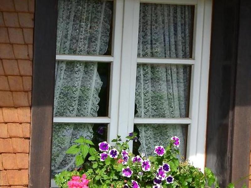 362BE2675AE5B7B207FCB70F8F9F3E21