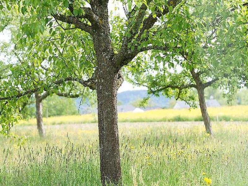 A79DB1AF7A93EC35A260698D230744D6