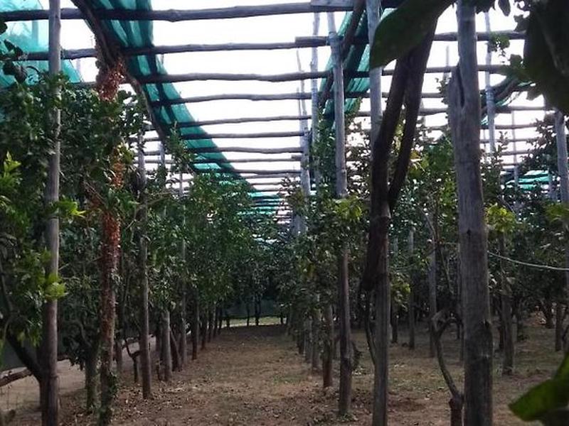 830E902AEBA0FDB687230AFDE737A74E