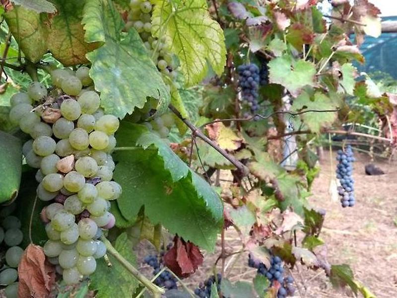 7419C43F20BC2F822513EF48402B1CDD