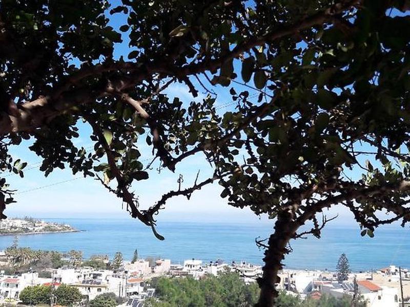 C5B0297571780BB9B963B7B965A2CA92