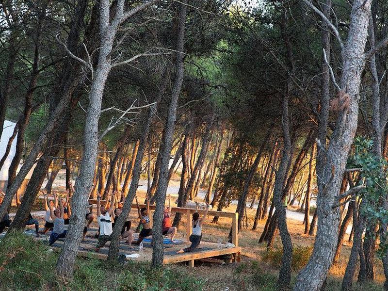 73DF82CE36F937A6F2F60C418818F1E1