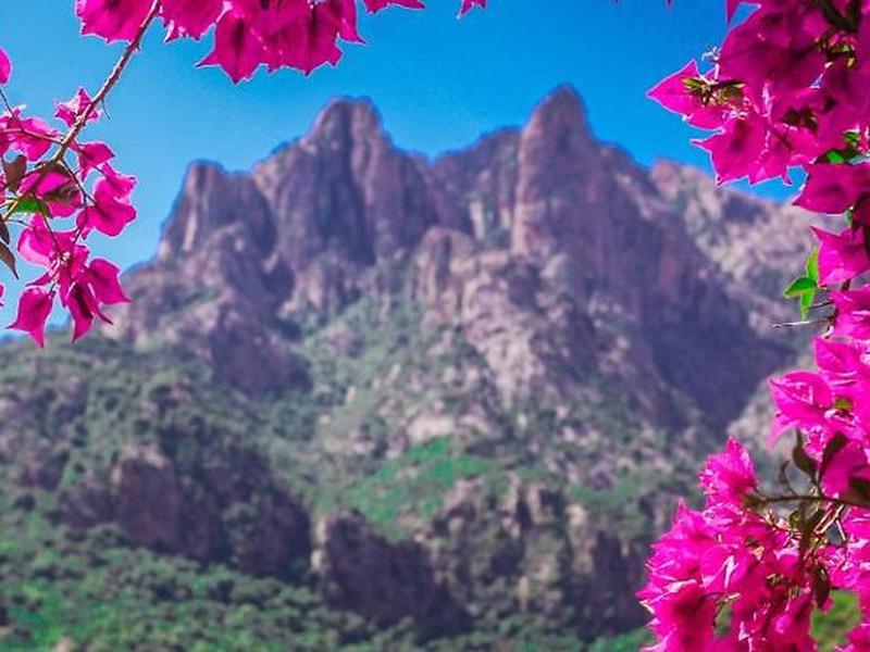 4320D712C48AC077DC66316B9F4A7DAB