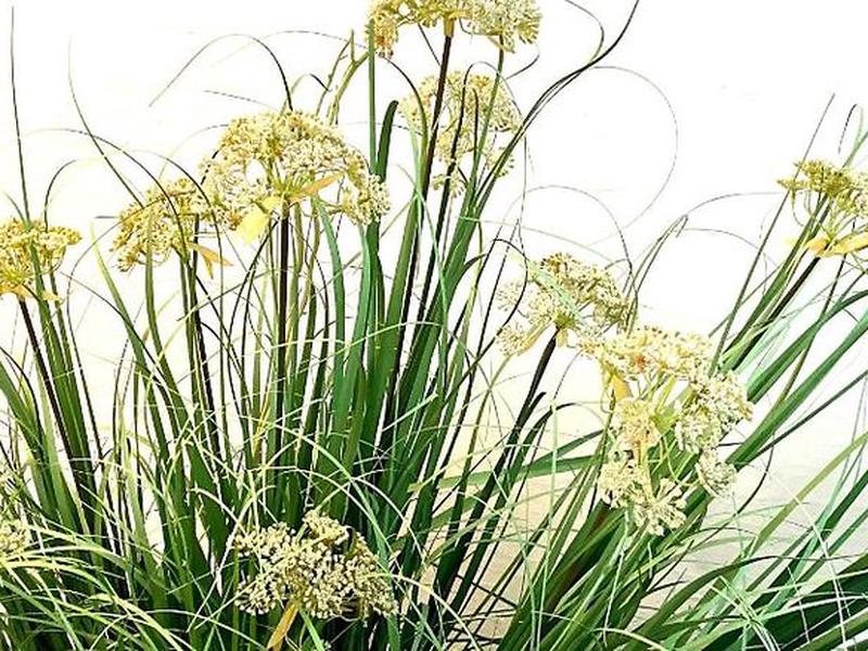 21E5E51FA66F4D1D1C003B7CDCA15FE2