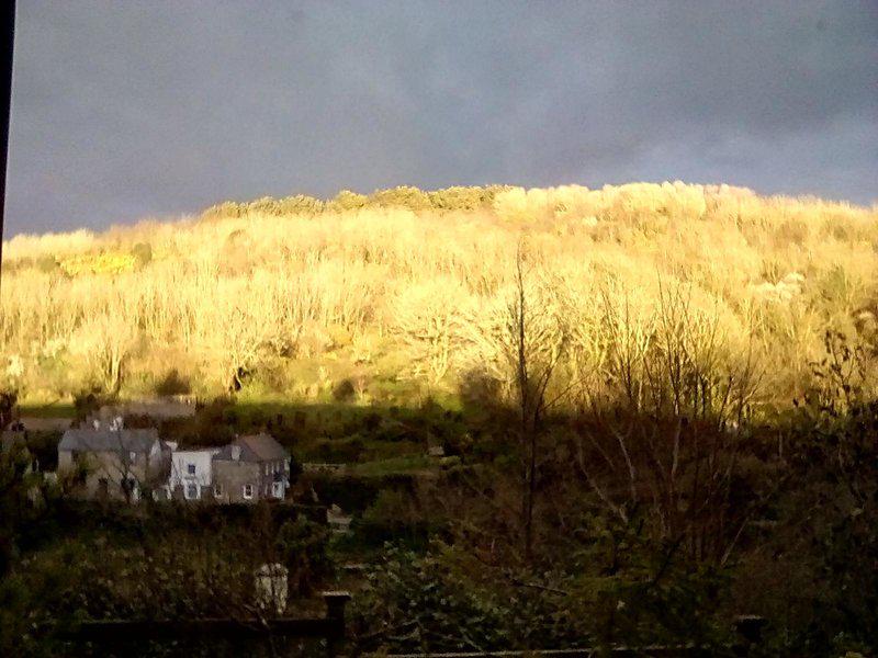 8EFABBF2D8EA561EE77A9360021A388D