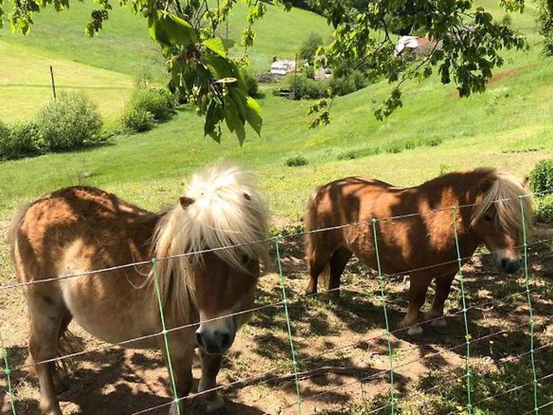 1D8D72AFA349DDA0031C5D6DAB30CF63