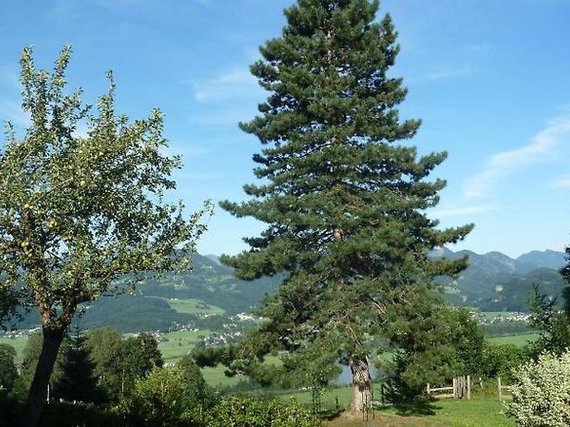 4F4DBB26B2163808E9506CF2ABE77EB7