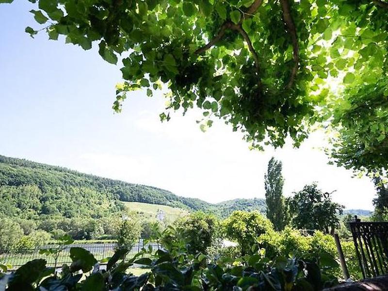 D7D1ED99769B7D4545336A35D9B4749D