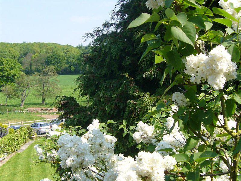 565BC12ED6B0B9C6A5281AE7562CBF7E