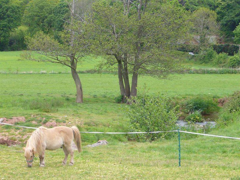 C0EF7C4B7DD4F091FBE8FB4E5CC91F9C