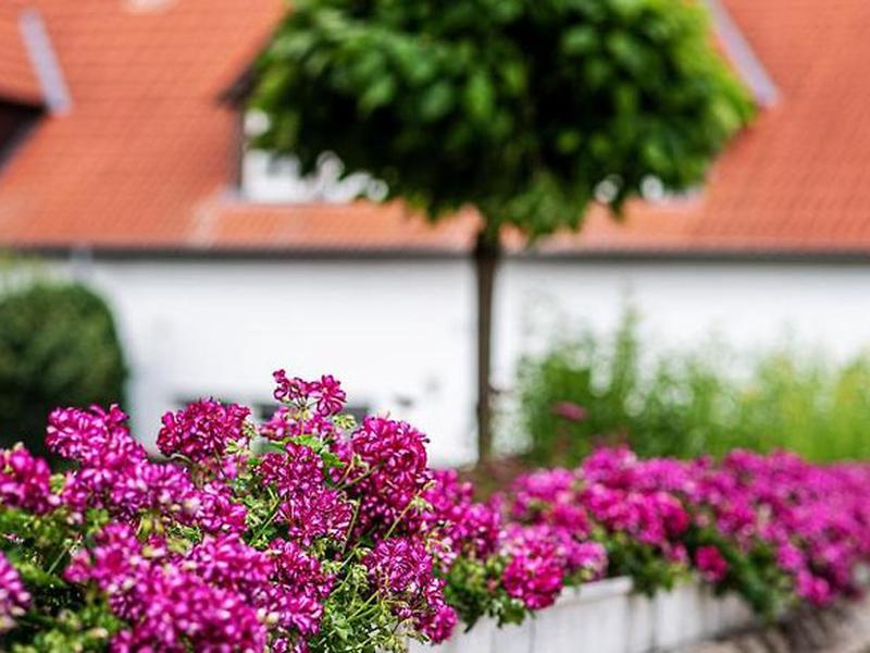 429C89E28FBE5547D5A5CFF92623373C