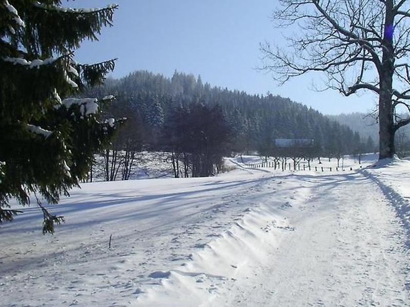 8F0B6DE67E650121A75D1F6300580DFF