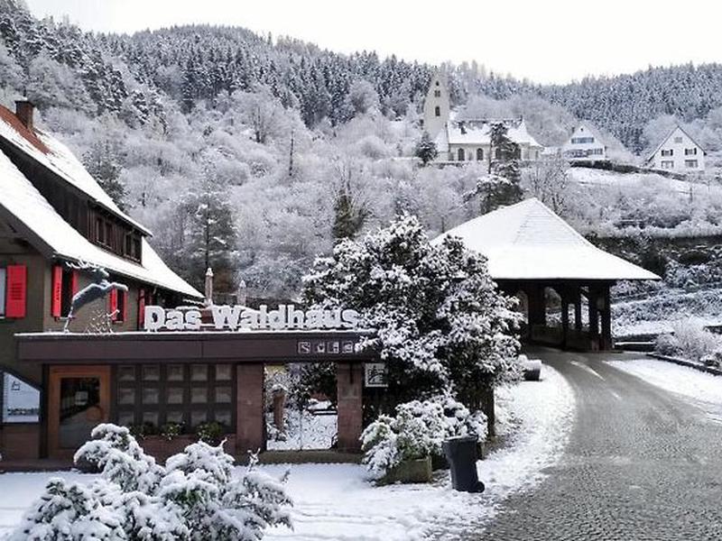 039FB7FE429251E5041CF57857EF913E