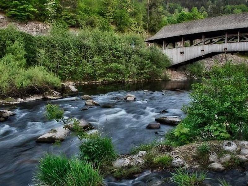 07858435135E0374ECA38E7C20A21946