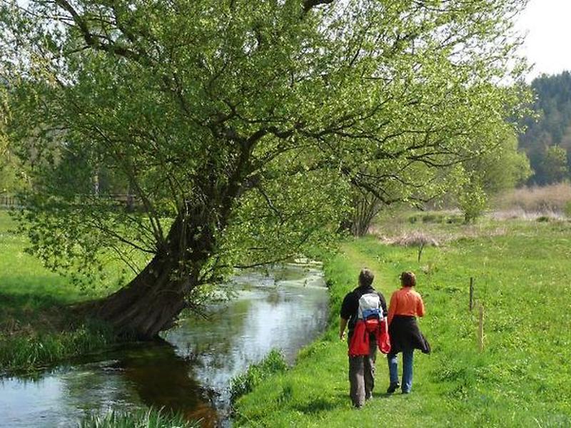 3FCA02B740B1CC7C3EA71070EC408F5D