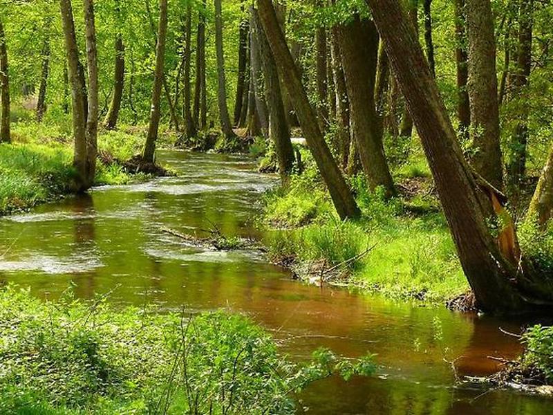 A82B69D0207418C02CAC1789498DC226