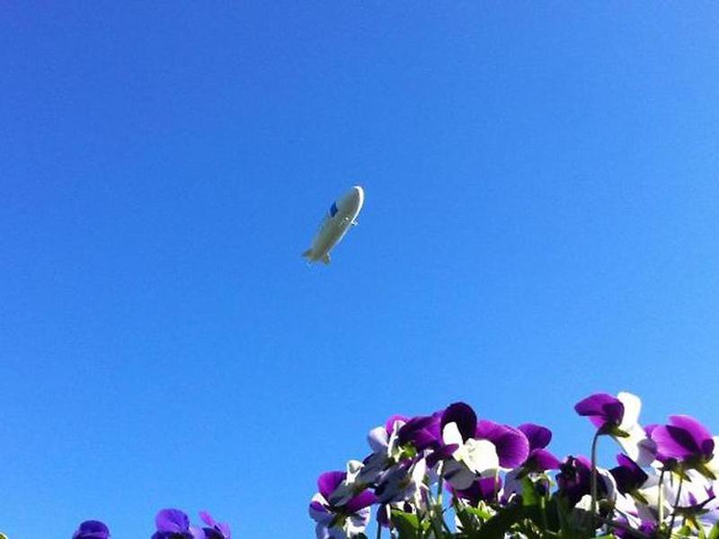 801BFEDFCF25465B891BD6D48C5E973F