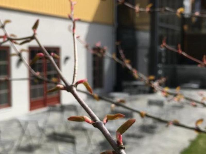 2040116A96E07F4C10DE937F3B7C6167