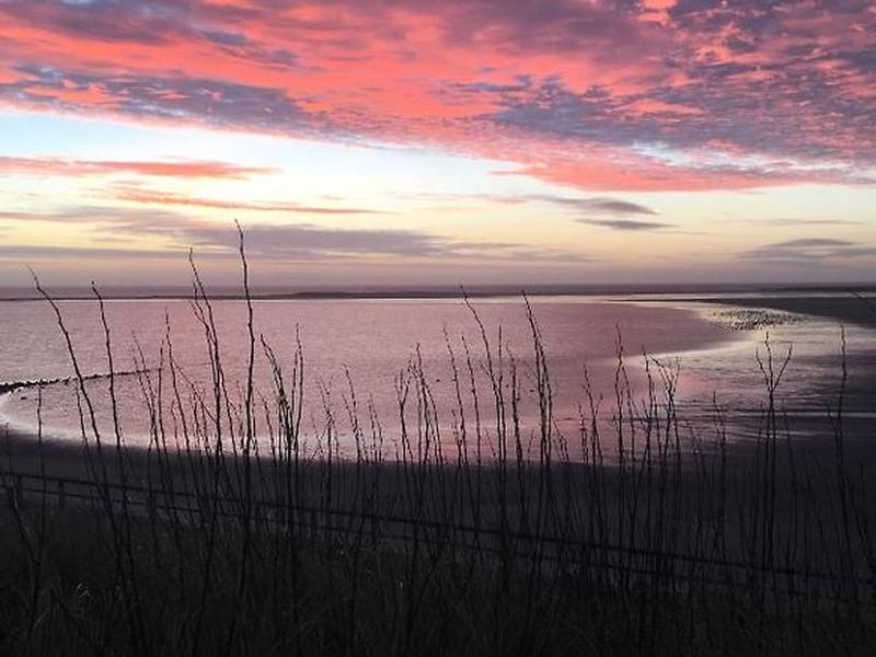 95DFDEEBC690AC0DCAA0224560DA2DD4