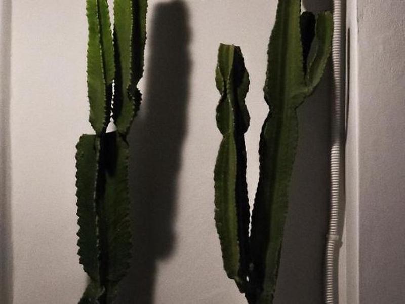 E109778E90D24A1DEFBF345DB0696273