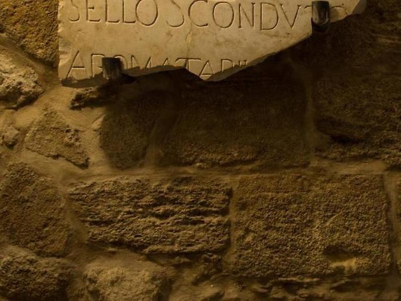 660E168AD32D35B6BC06A10B14C65F1A