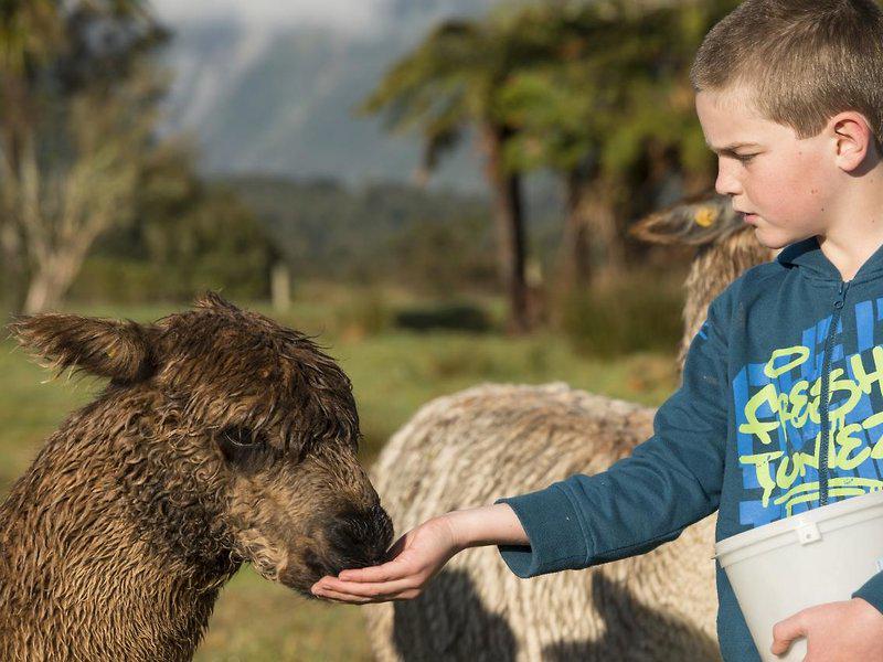 89FB872F6524D0EF0910A8A9223C62B2