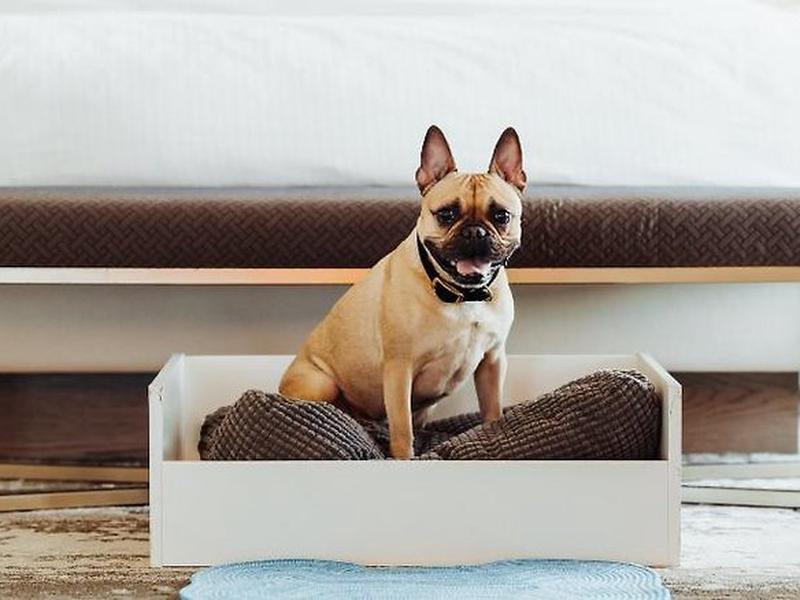 2B9603C612183132A7D57C597AC8C409