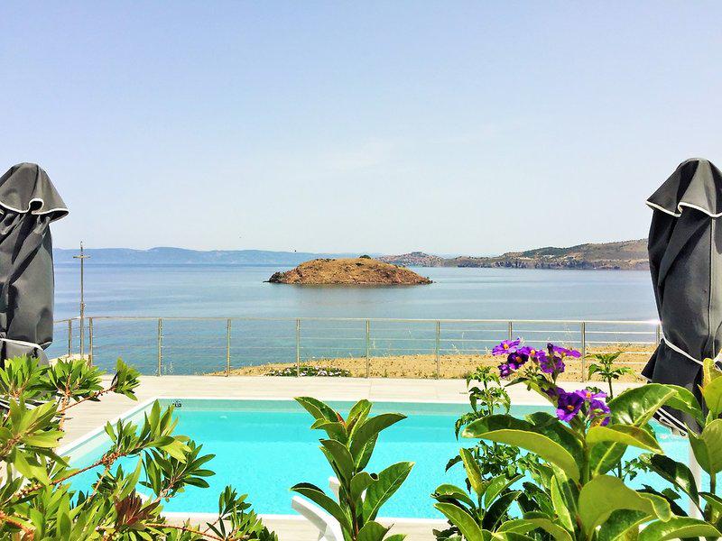 B1566F1C98D347A5C507FC084AC094EF