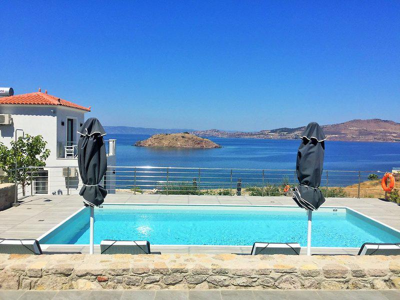 D4F8D259C3221257665FE5F6E9178699