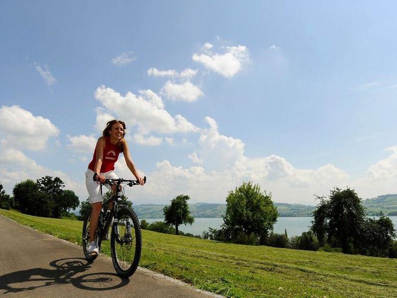 D786E43FE79372D6CFCE43B18B1597BC